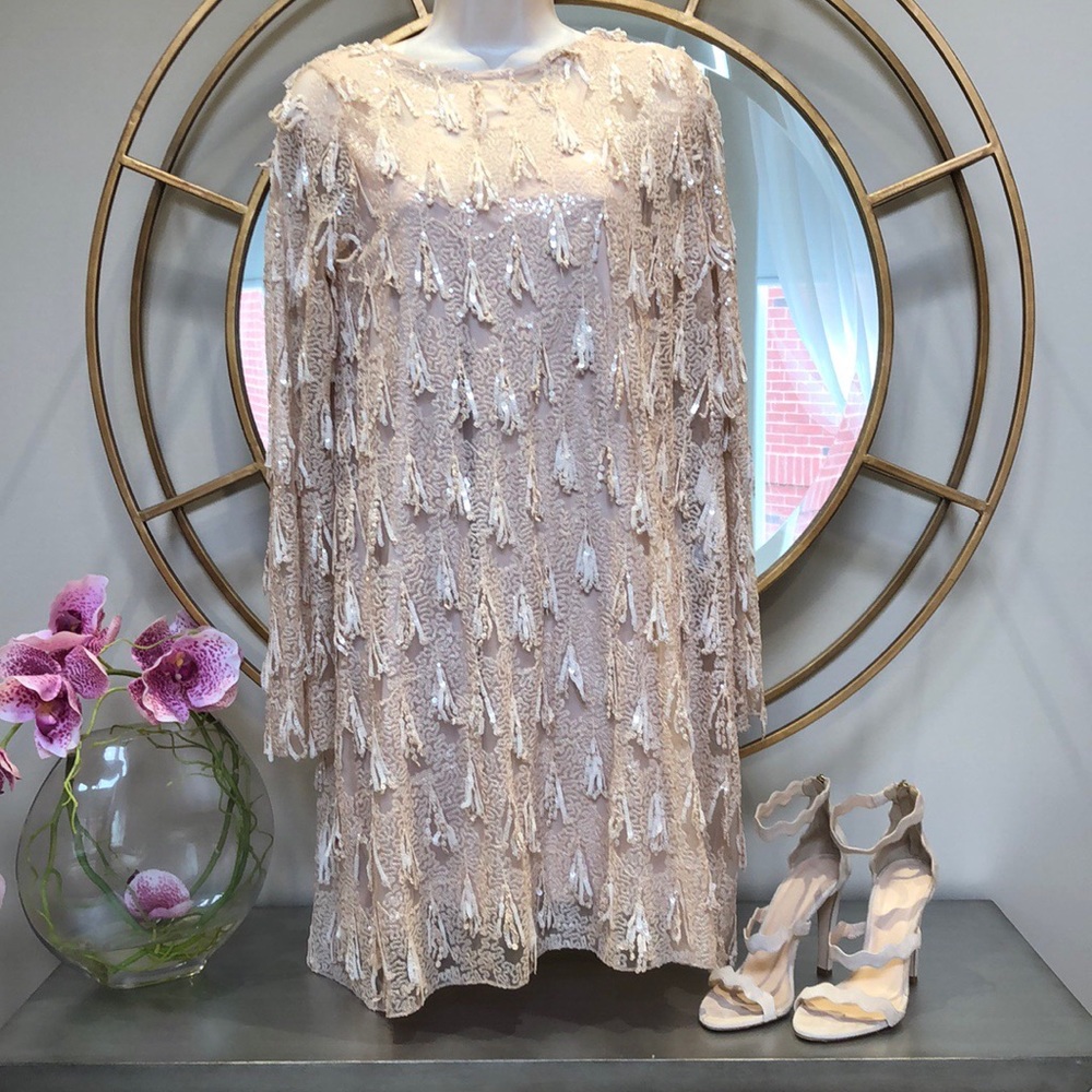 NWT Zara beaded mini dress